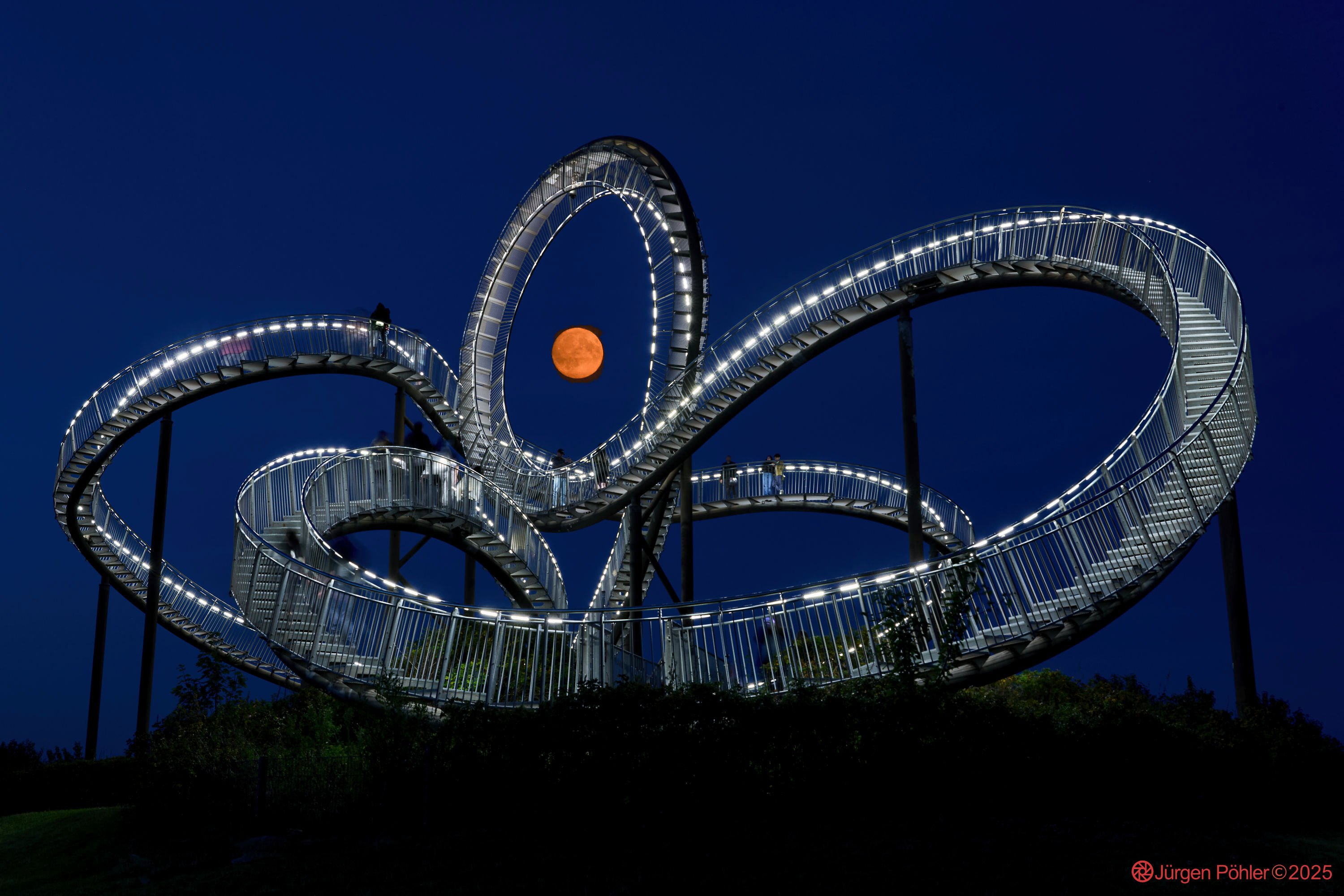Magic Mountain / Tiger & Turtle